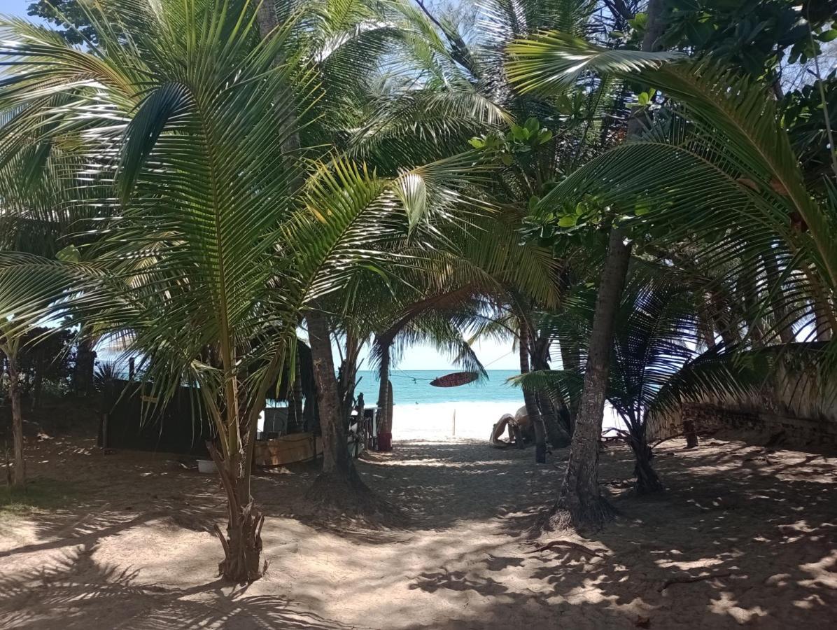 Porto De Galinhas Lindo Ap 2 Q 2 Banh 40 M Da Praia Daire Dış mekan fotoğraf